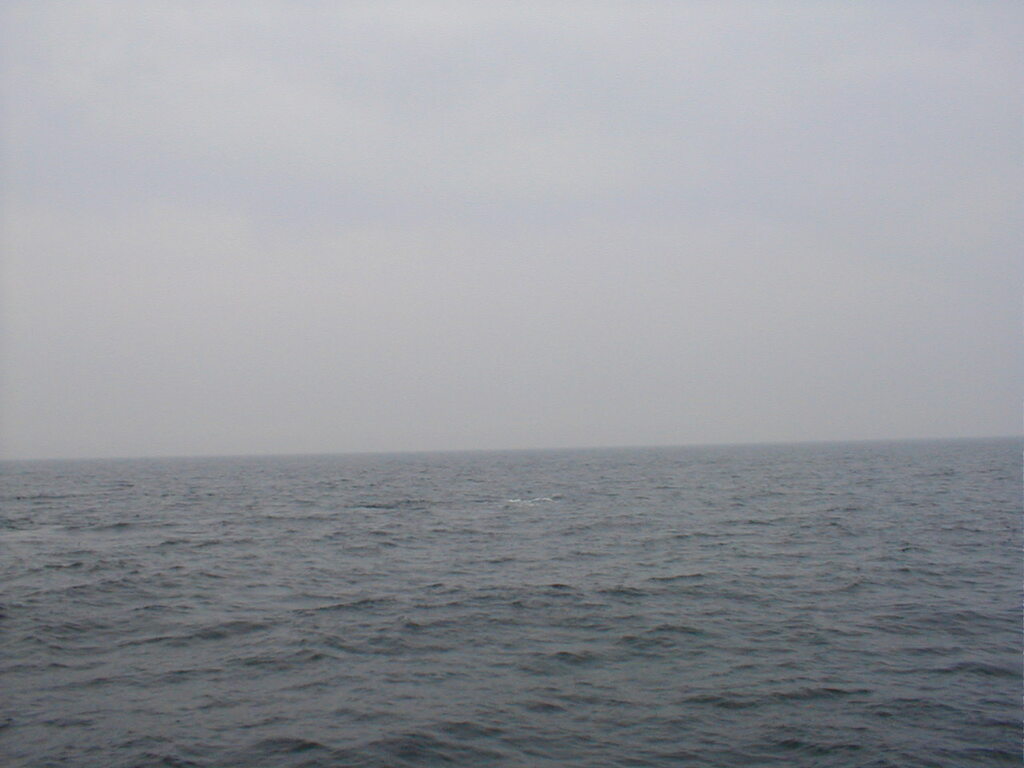 No description provided for: /2002/07-09/0712-jhu-cty-lcf/_3/photo062.html