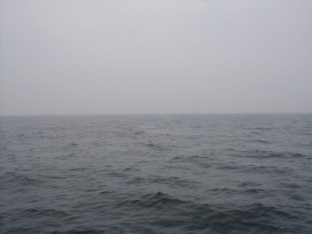 No description provided for: /2002/07-09/0712-jhu-cty-lcf/_3/photo066.html