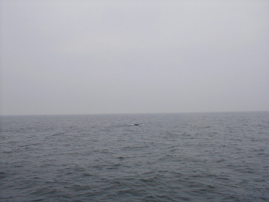 No description provided for: /2002/07-09/0712-jhu-cty-lcf/_3/photo068.html