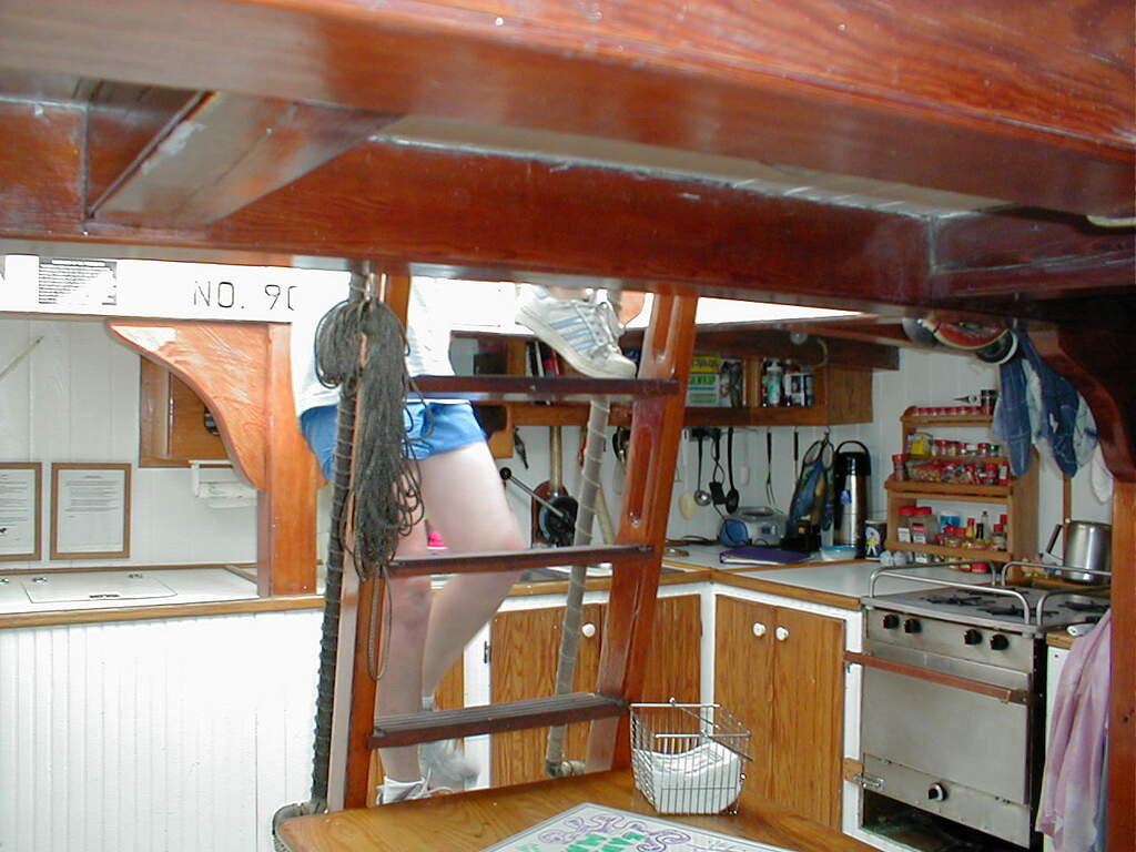 No description provided for: /2002/07-09/0712-jhu-cty-lcf/_4/photo084.html