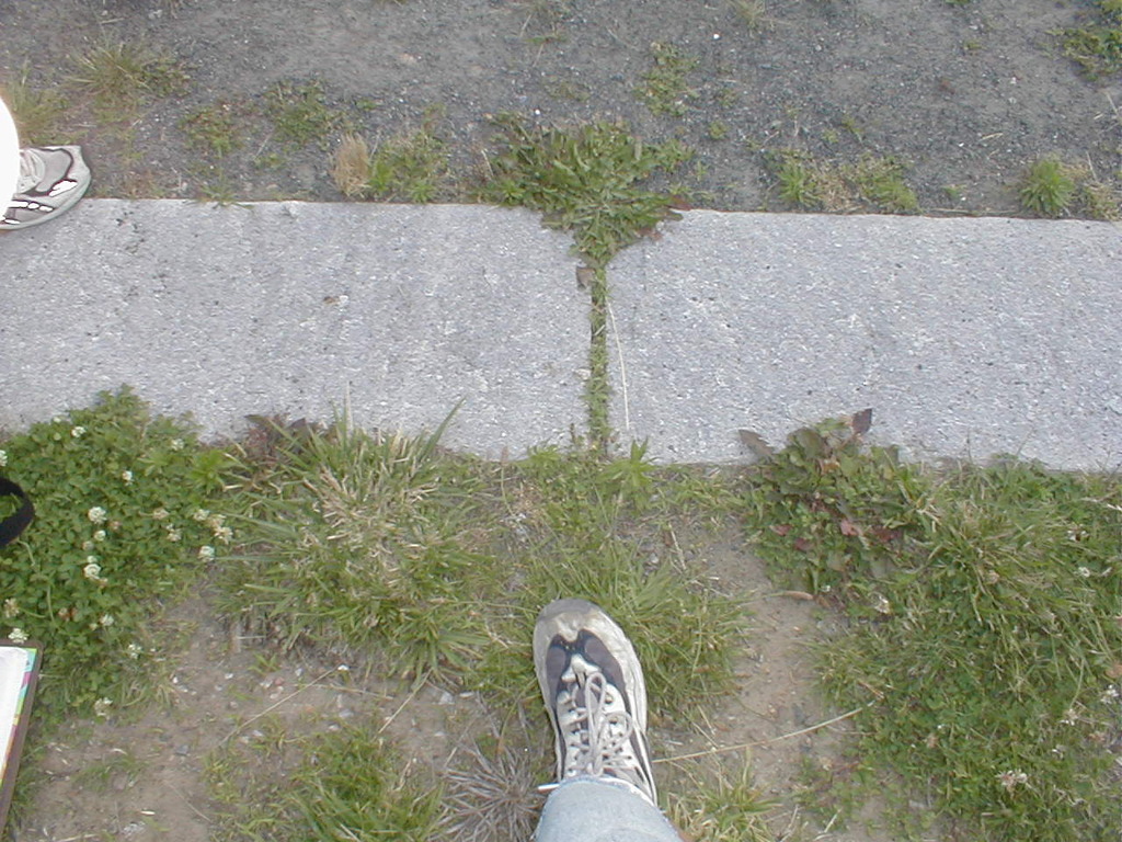 No description provided for: /2002/07-09/0712-jhu-cty-lcf/_4/photo095.html