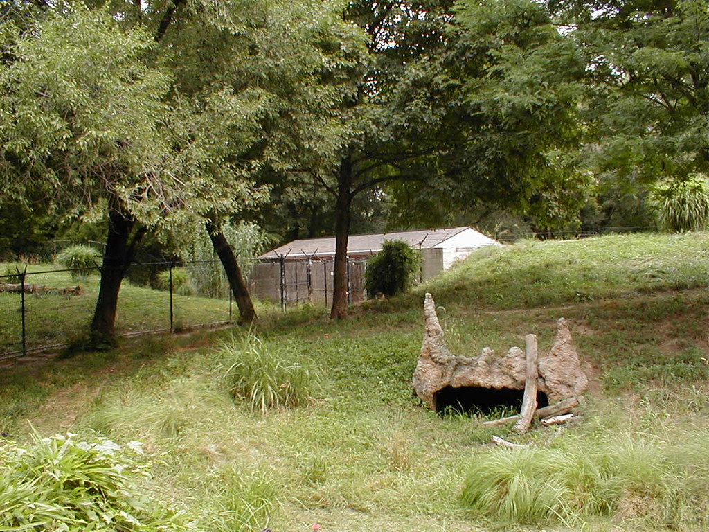 No description provided for: /2002/07-09/0712-jhu-cty-lcf/_6/photo124.html