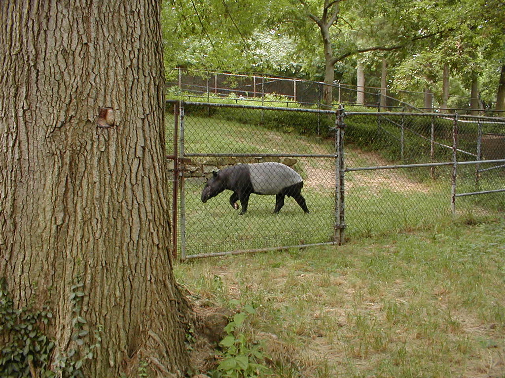 No description provided for: /2002/07-09/0712-jhu-cty-lcf/_6/photo129.html