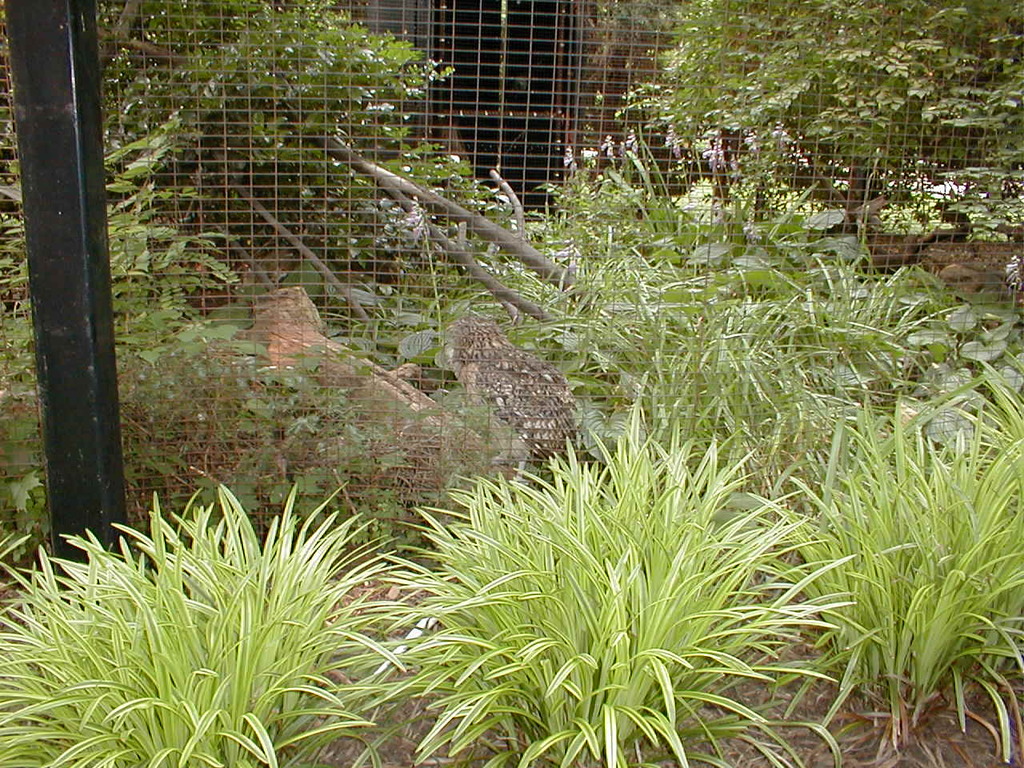 No description provided for: /2002/07-09/0712-jhu-cty-lcf/_6/photo131.html