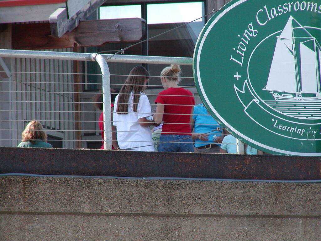 No description provided for: /2002/07-09/0712-jhu-cty-lcf/_6/photo135.html