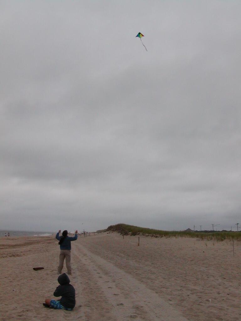 No description provided for: /2002/07-09/0720-kites/_1/photo09.html