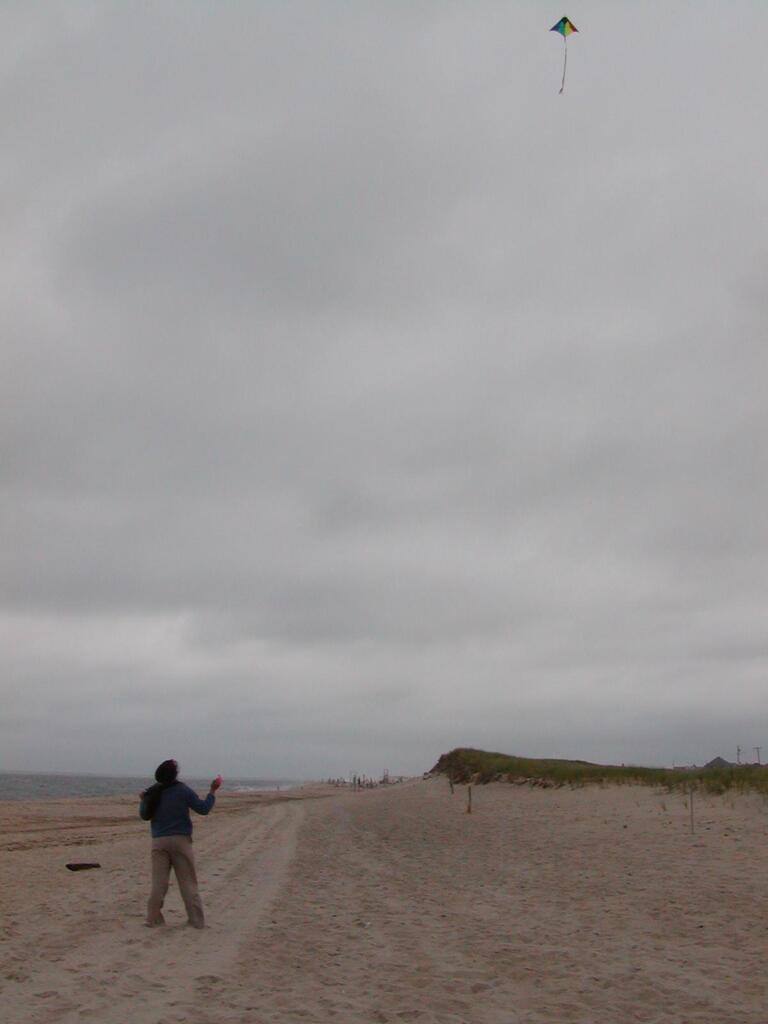 No description provided for: /2002/07-09/0720-kites/_1/photo11.html