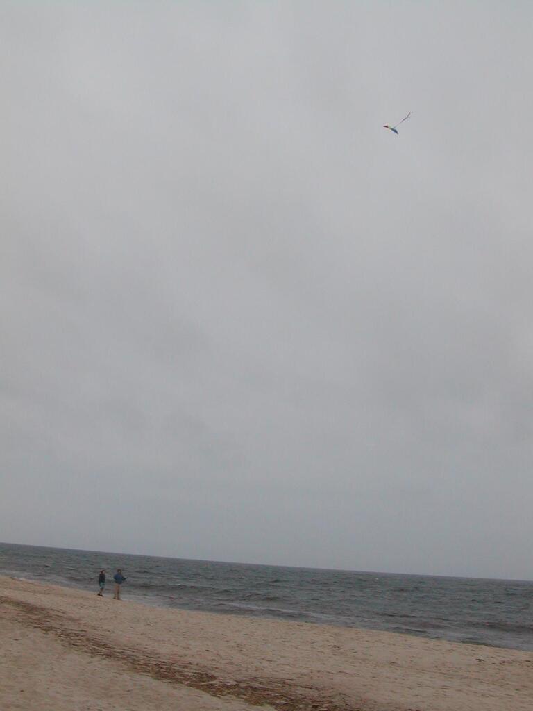 No description provided for: /2002/07-09/0720-kites/_1/photo13.html