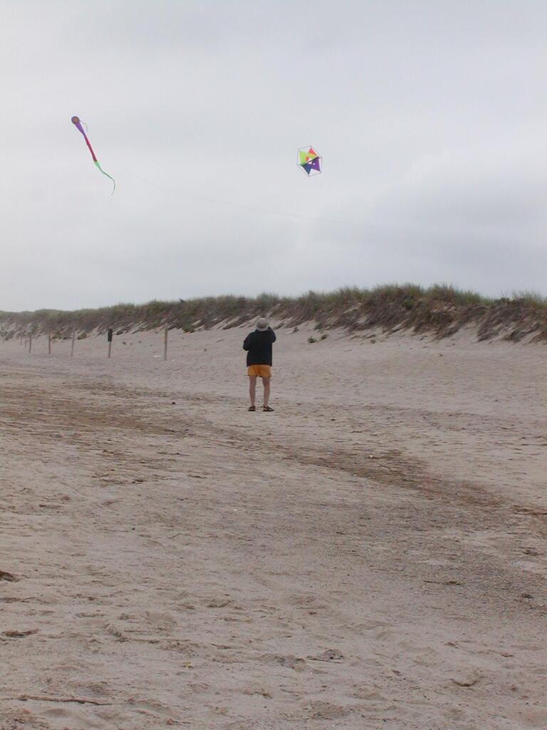 No description provided for: /2002/07-09/0720-kites/_2/photo33.html