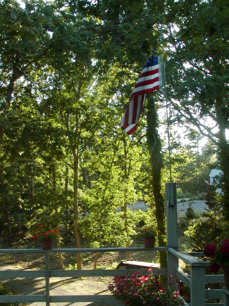 No description provided for: /2002/07-09/0724-cape-sam+snowball/photo03.html