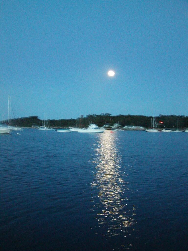 No description provided for: /2002/07-09/0725-sunrise-sail/_1/photo05.html