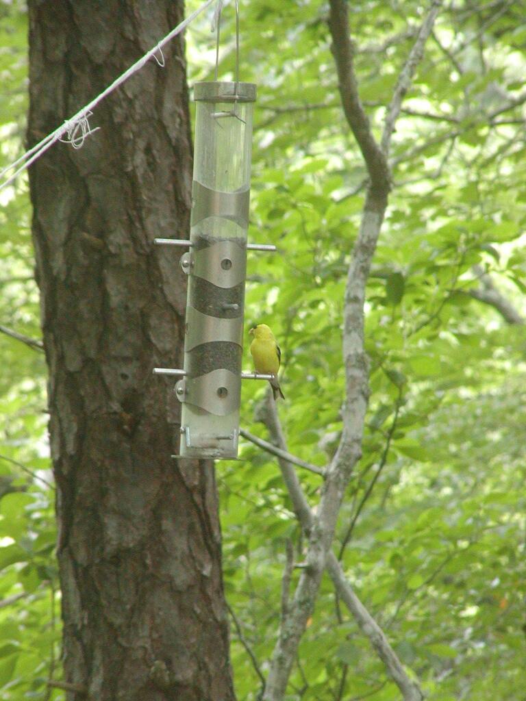 No description provided for: /2002/07-09/0728-snowball-walk-to-pond/photo01.html