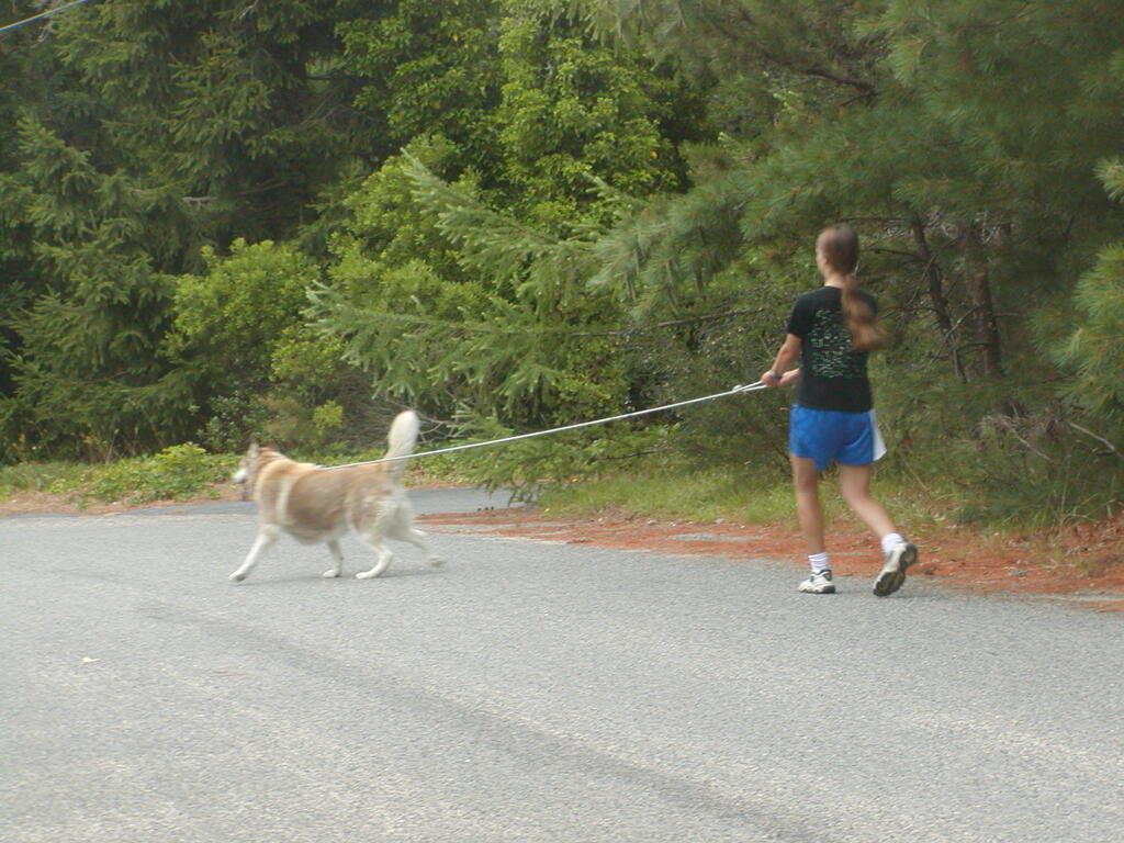 No description provided for: /2002/07-09/0728-snowball-walk-to-pond/photo04.html