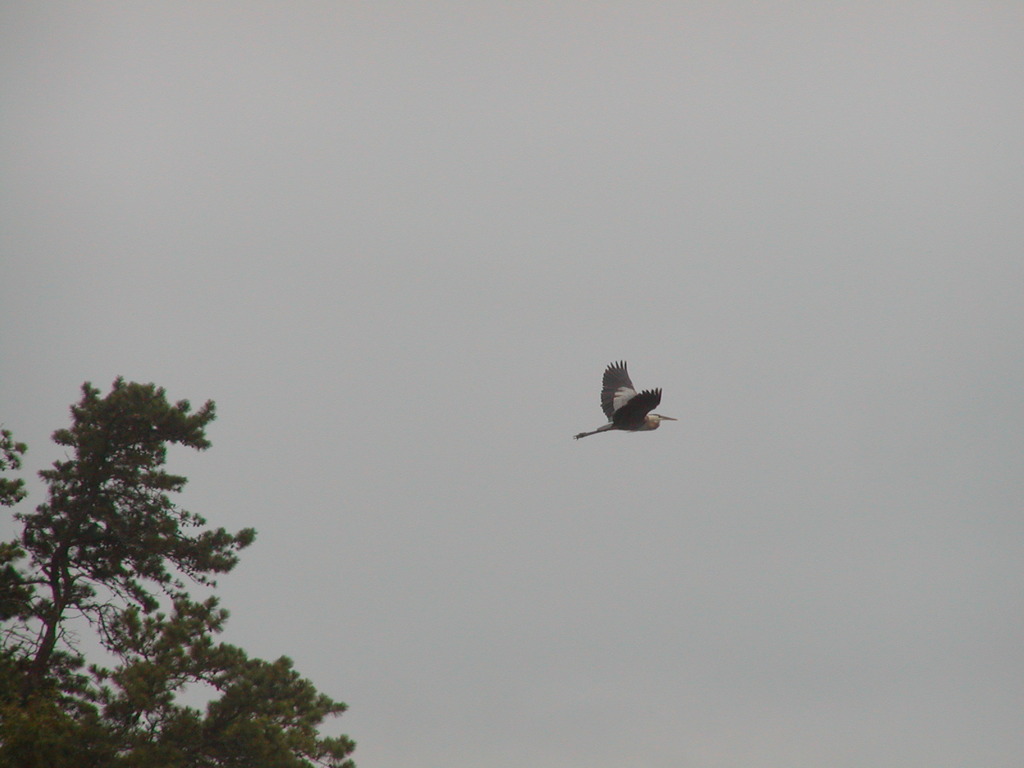 No description provided for: /2002/07-09/0728-snowball-walk-to-pond/photo05.html