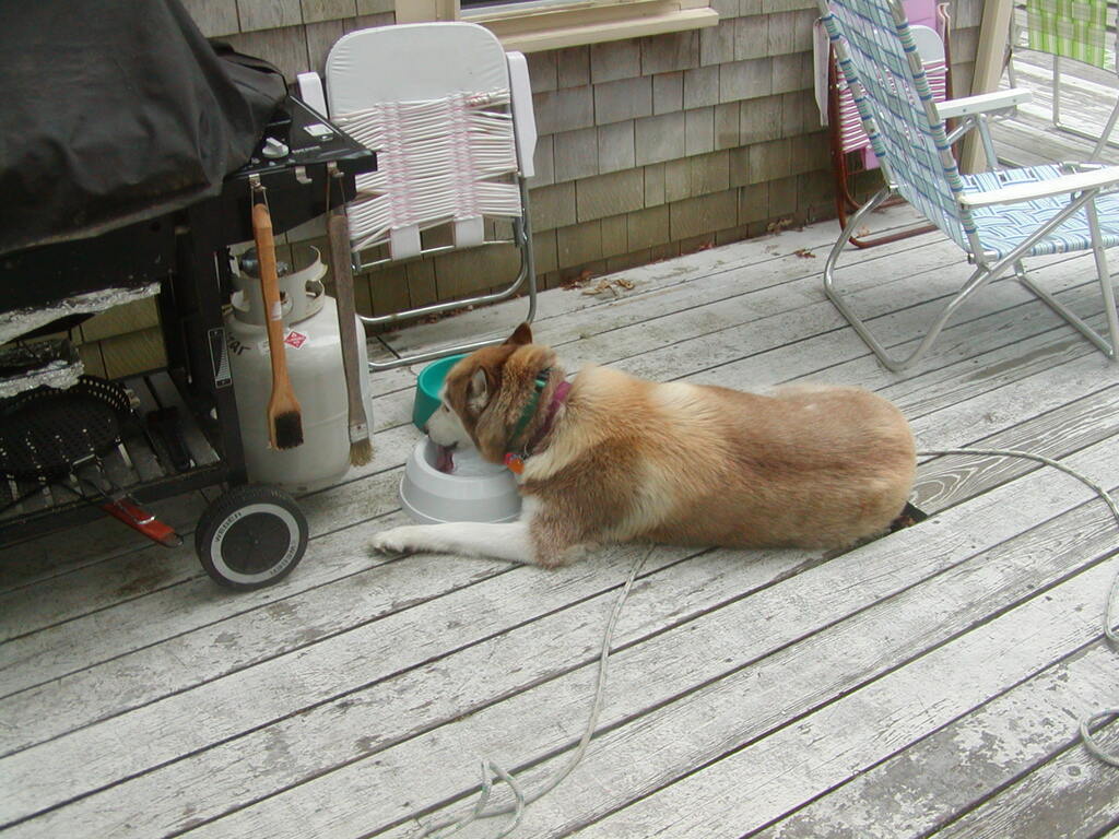 No description provided for: /2002/07-09/0728-snowball-walk-to-pond/photo07.html