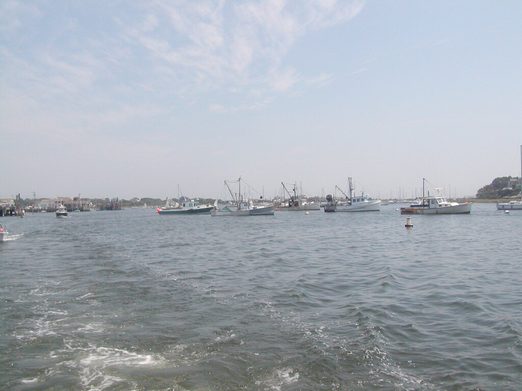 No description provided for: /2002/07-09/0804-seal-tour/_1/photo01.html