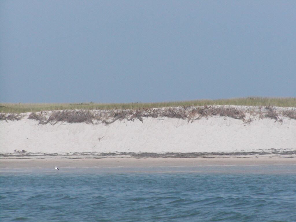 No description provided for: /2002/07-09/0804-seal-tour/_1/photo06.html