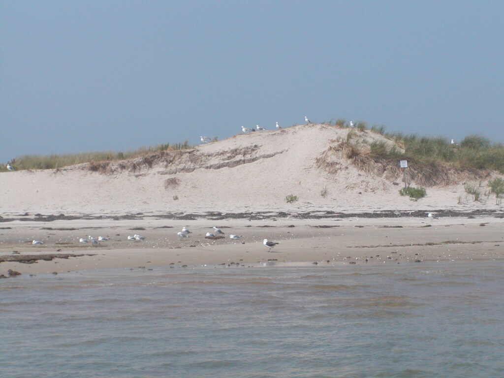 No description provided for: /2002/07-09/0804-seal-tour/_1/photo08.html