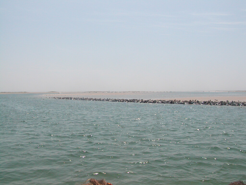 No description provided for: /2002/07-09/0804-seal-tour/_1/photo13.html