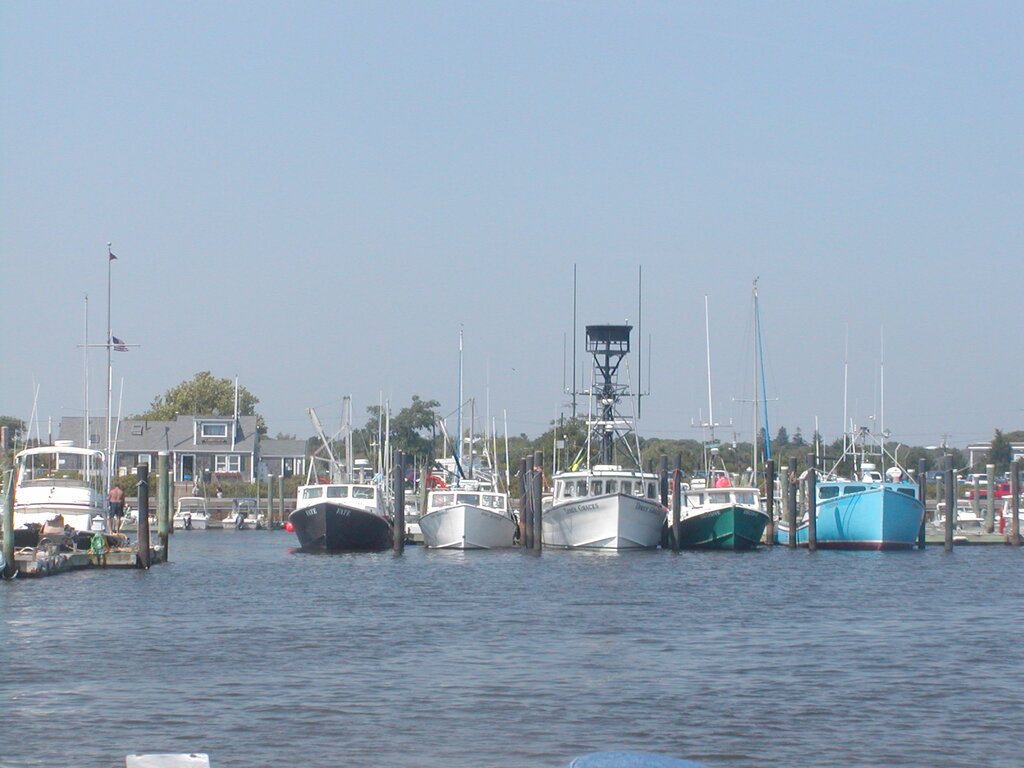 No description provided for: /2002/07-09/0804-seal-tour/_2/photo27.html