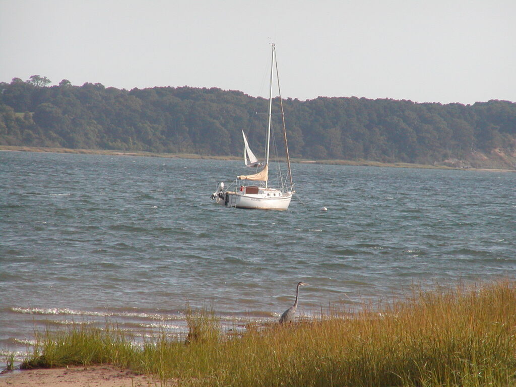 No description provided for: /2002/07-09/0914-blue-heron/photo01.html