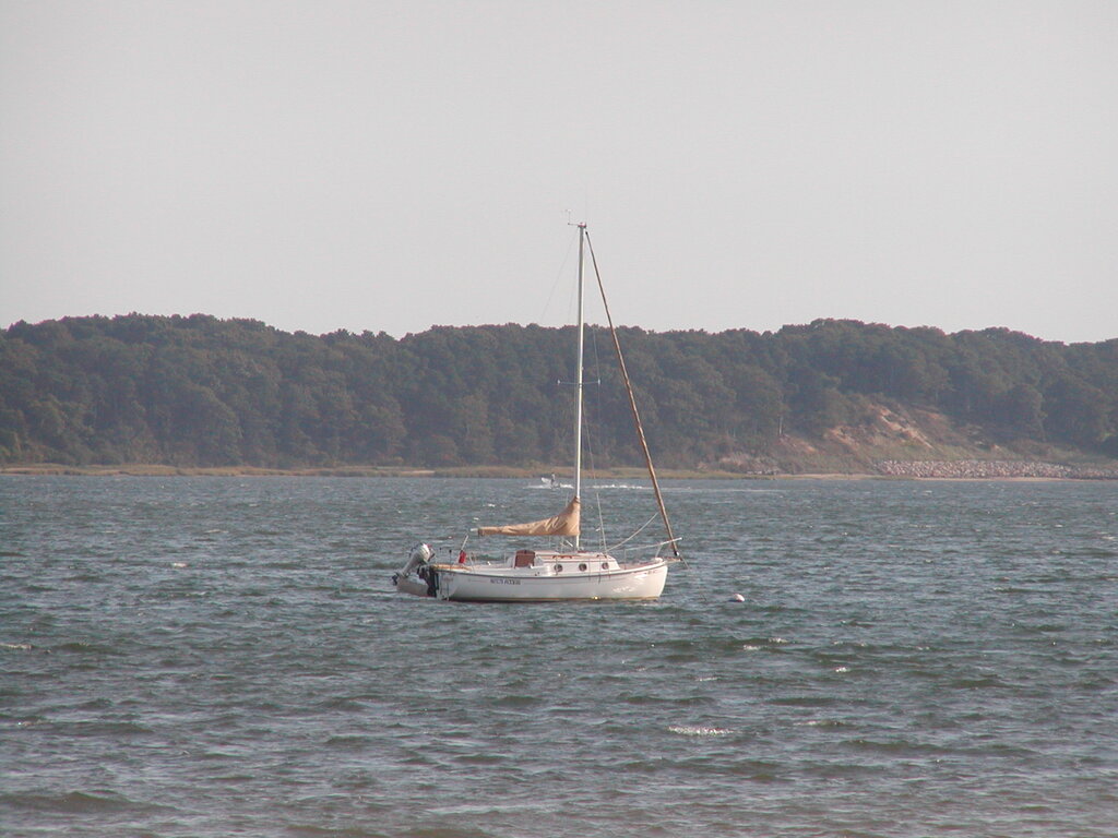 No description provided for: /2002/07-09/0914-blue-heron/photo04.html