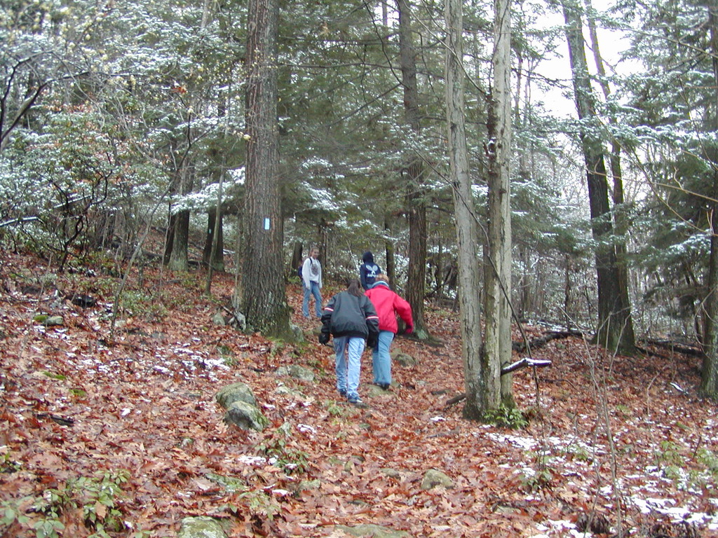 No description provided for: /2002/10-12/1123-bday-hike/photo01.html