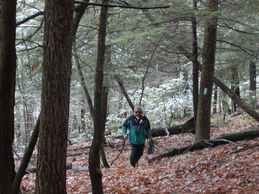 No description provided for: /2002/10-12/1123-bday-hike/photo03.html