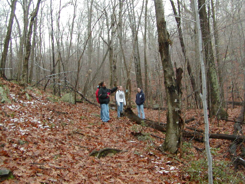 No description provided for: /2002/10-12/1123-bday-hike/photo04.html