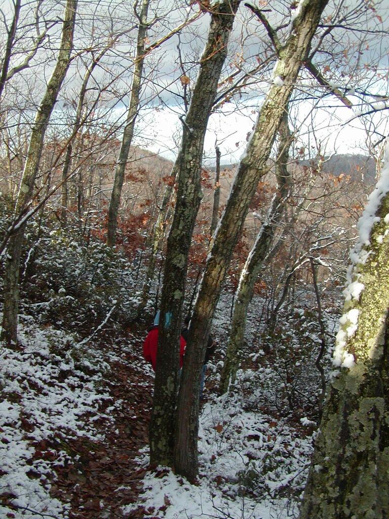 No description provided for: /2002/10-12/1123-bday-hike/photo13.html