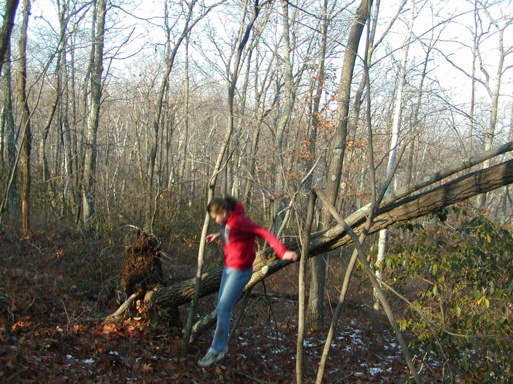 No description provided for: /2002/10-12/1124-bday-hike/_1/photo22.html