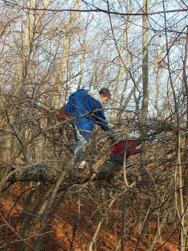 No description provided for: /2002/10-12/1124-bday-hike/_2/photo27.html