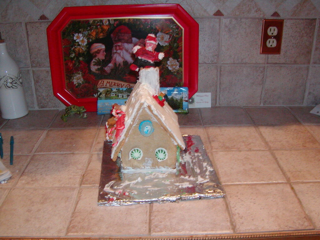 No description provided for: /2002/10-12/1214-gingerbread/photo02.html
