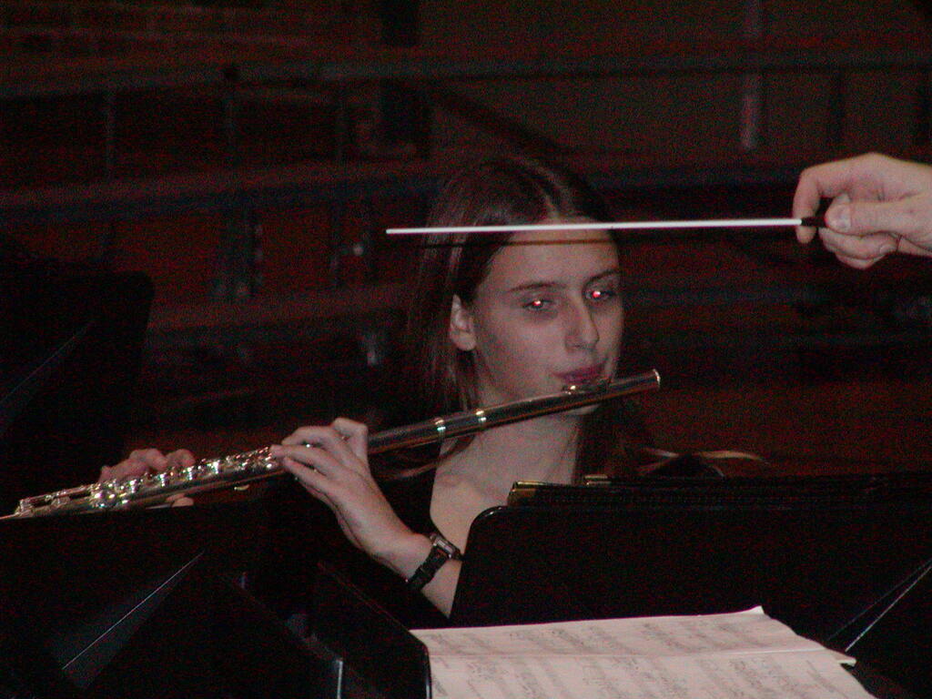 No description provided for: /2002/10-12/1217-band-concert/_1/photo12.html