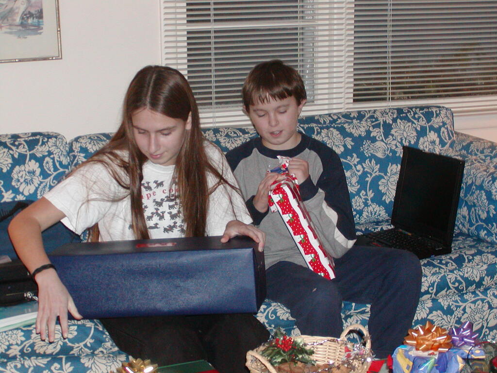 No description provided for: /2002/10-12/1225-christmas/photo04.html