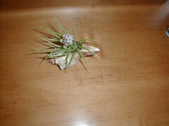 Image file: photo01.jpg