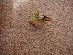 Image file: photo03.jpg