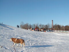 Image file: photo10.jpg