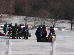 Image file: photo16.jpg