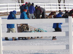 Image file: photo20.jpg