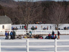 Image file: photo23.jpg