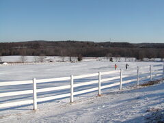 Image file: photo25.jpg