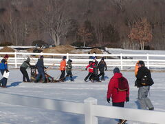 Image file: photo31.jpg