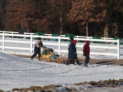 Image file: photo33.jpg