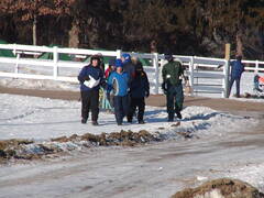 Image file: photo35.jpg