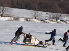 Image file: photo39.jpg