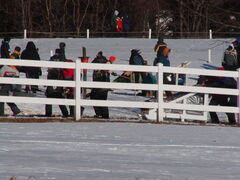 Image file: photo45.jpg