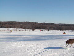 Image file: photo58.jpg