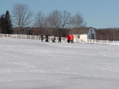 Image file: photo65.jpg