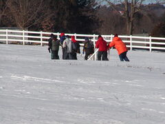 Image file: photo66.jpg